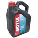 Масло Motul Outboard Tech 2T TCW3 5 литров